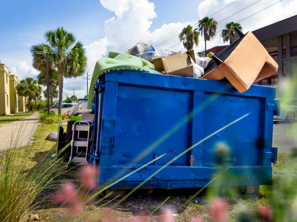 Yard Cleanup Services in Eclectic, AL